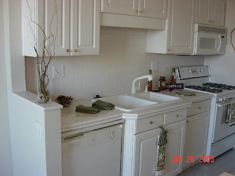 701 S Skinker Blvd #Penthouse 1004 — Photo 5