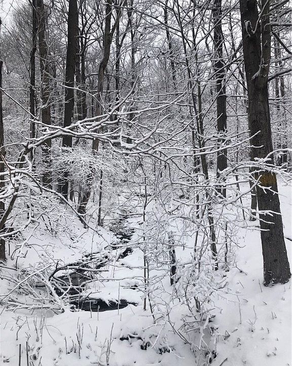 1st image of 0 County Line Rd