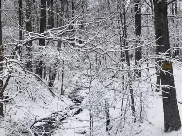 0 County Line Rd, Champion, PA 15622
