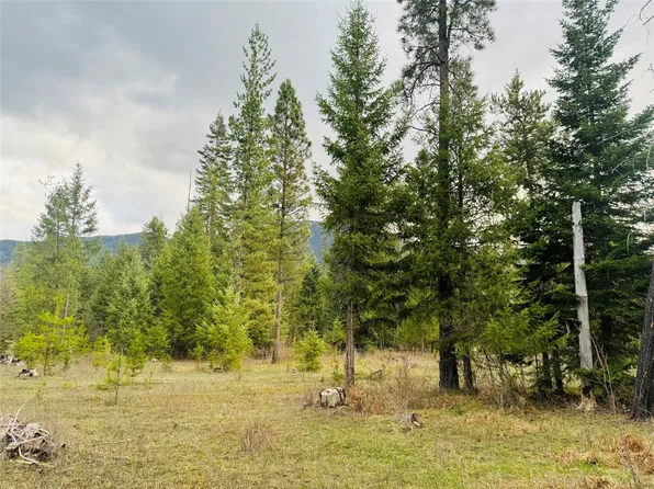 N Alger Rd, Trout Creek, MT 59874