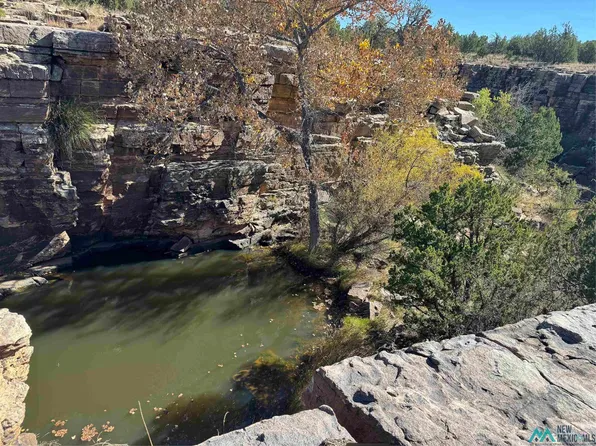 158.81 Ac Off Cres #B27a, Serafina, NM 87569