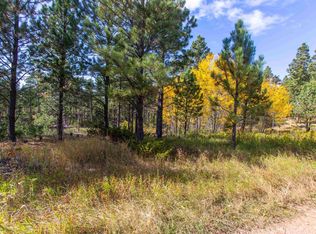 Greens Gulch Loop, Hill City, SD 57745