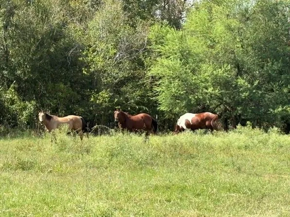 38954 Donigan Rd, Brookshire, TX 77423