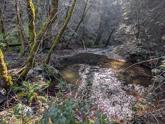 4th image of 87 Rock Creek Rd