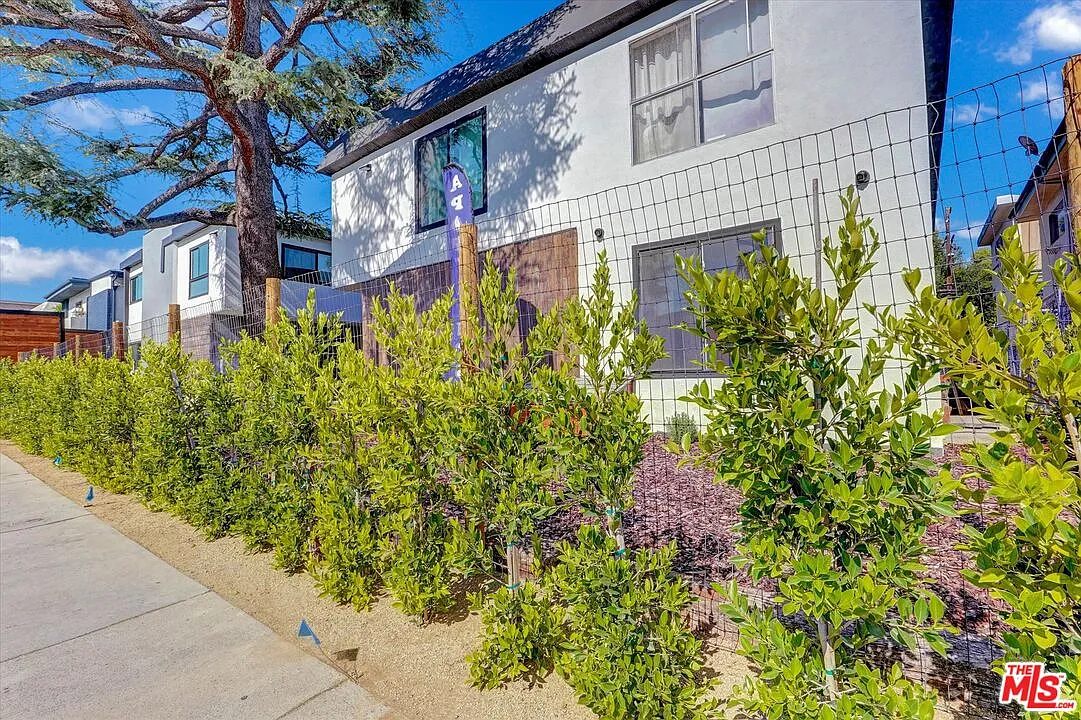 2 bed, 1.0 bath, 781 sqft, $2,700 — Photo 2