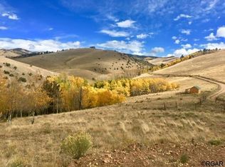 9005 County Road 310, Westcliffe, CO 81252