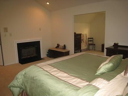 master bedroom/fireplace