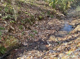 0 Widgeon Way #65, Whittier, NC 28789