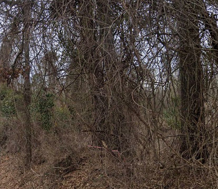1st image of 450 Old Princeton Rd