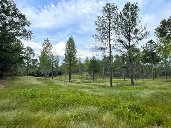 County Road 71, Killen, AL 35645