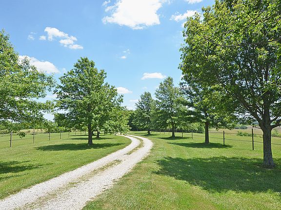 Tree lined drive up to home