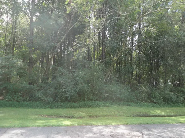 0 College Dr, Hanceville, AL 35077