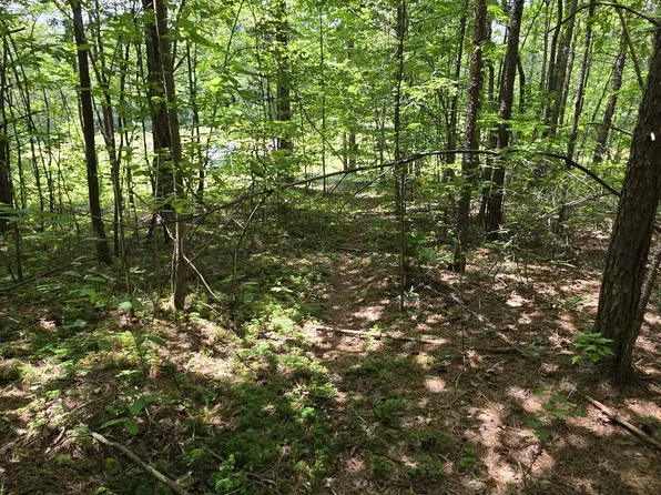 Muddy Ridge Rd Lot 11, Adams, KY 41201
