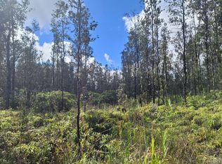 Io Kea Road Rd #4-LOT 3511, Mountain View, HI 96771