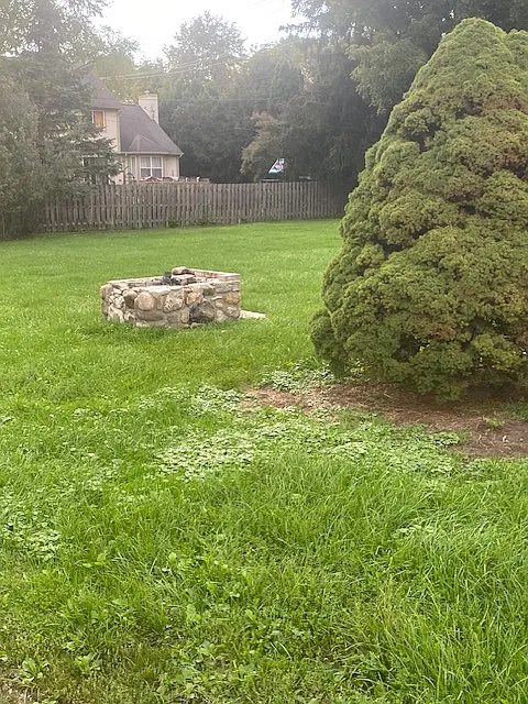2 bed, 900 sqft, $1,200 — Photo 3