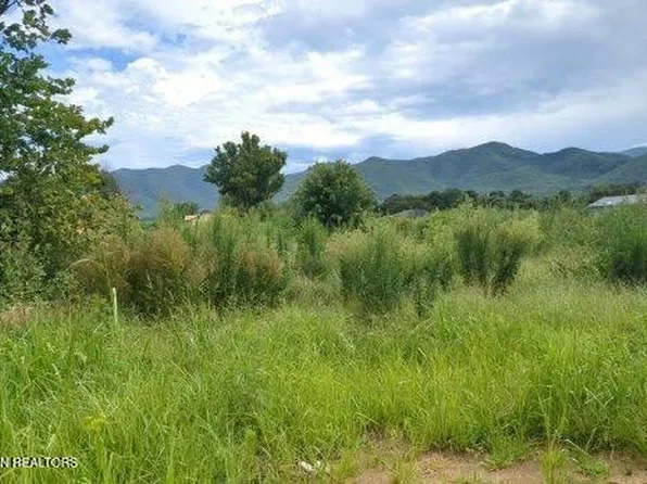 290 Bill Mauk Rd, Chuckey, TN 37641