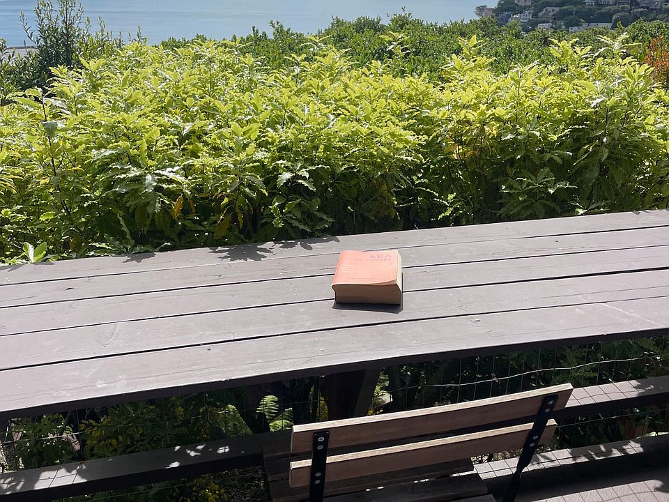 View from deck