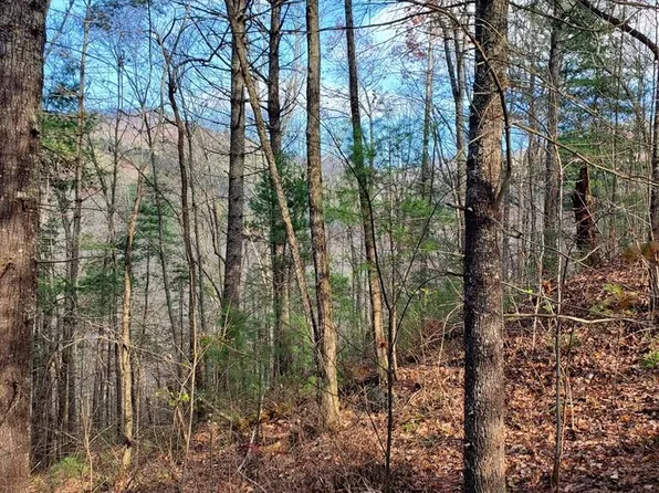 6 Four Katerina Ln, Murphy, NC 28906