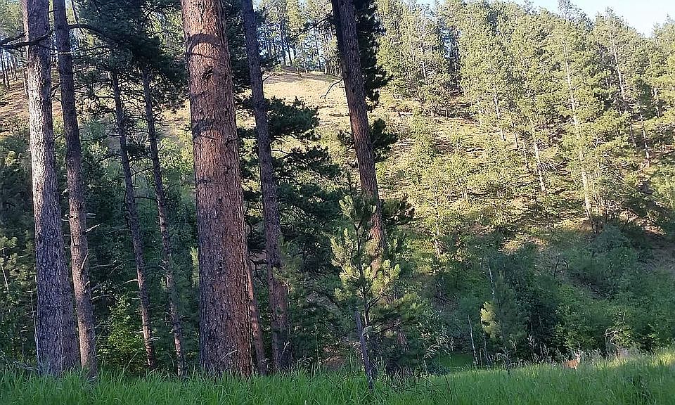 Burnham Ave, Deadwood, SD 57732 Zillow