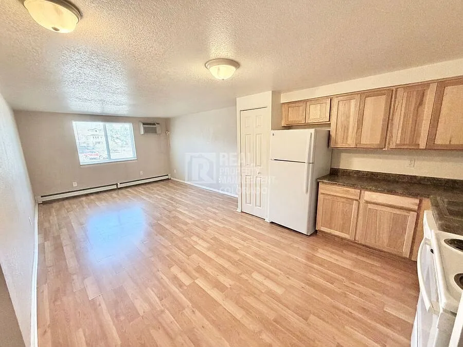 Beautiful Condo in Denver — Photo 2