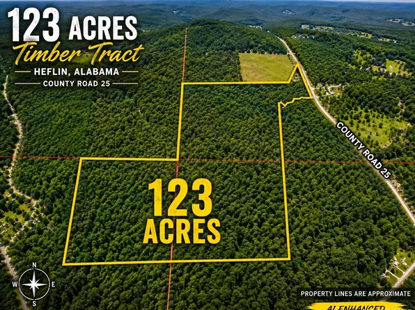 0 County Road 25, Heflin, AL 36264