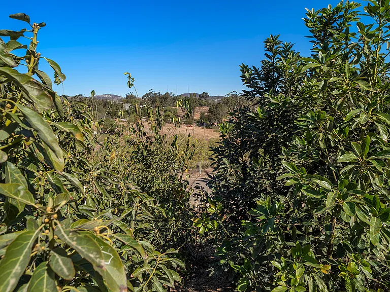 3605 1/2 Fortuna Ranch Rd — Photo 44