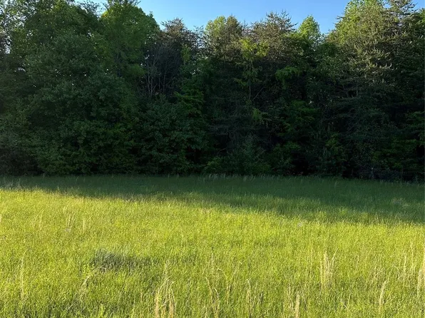 0 Maiden Salem Rd Lot 4, Lincolnton, NC 28092