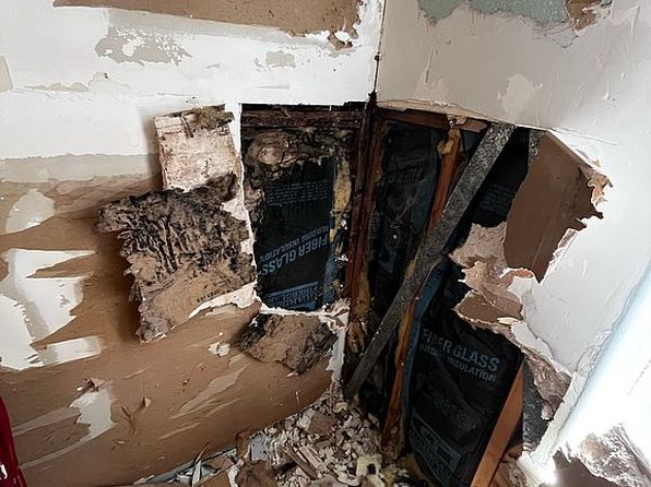 947 Bird Bay Ct APT 107