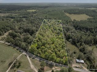 10 Cook Rd, Moselle, MS 39459