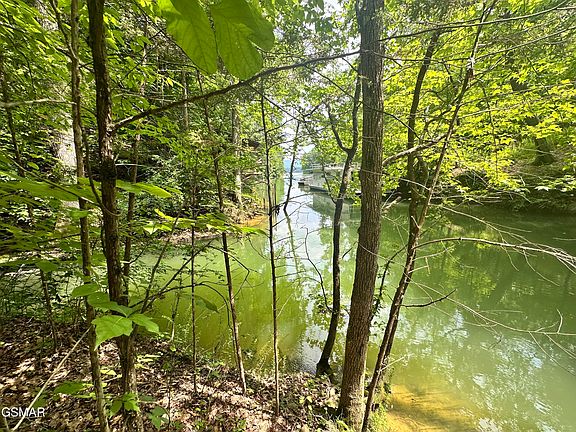 3rd image of TRACT 8 Woods Ridge Rd