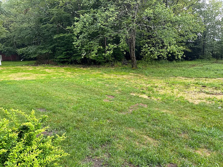 394 Hemlock Dr — Photo 17