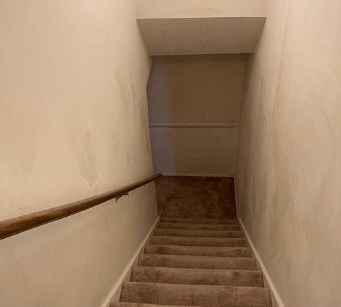 5th image of 1510 Burcham Dr