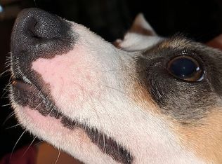 1184 Johns Rd, Clinton, OH 44216