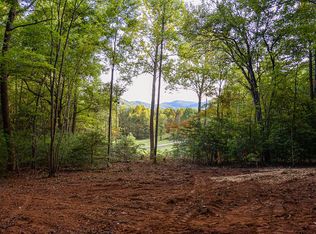 0 Cottonwood Ln, Blue Ridge, GA 30513