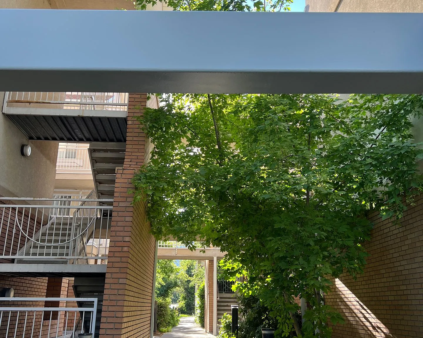 Reduced Rent (For Alimited Time) -One Bedroom Next To Provo Rec Center, Park And Near Utah Valley... — Photo 4
