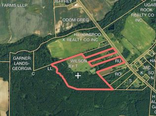 1460 Hooks Mill Rd, Leslie, GA 31764