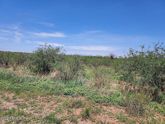 4th image of 4 Acres E Wakefield Street #-