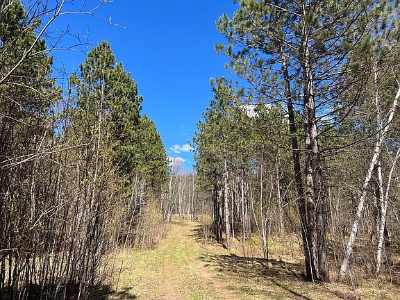 5th image of 16421AC Maple Grove Rd