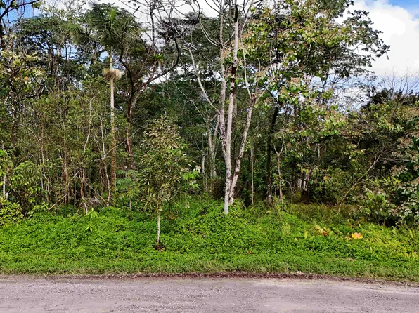 35 Avenue, Kurtistown, HI 96760