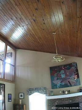 Living Room ceiling