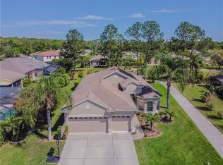 23940 Plantation Palms Blvd, Land O Lakes, FL 34639