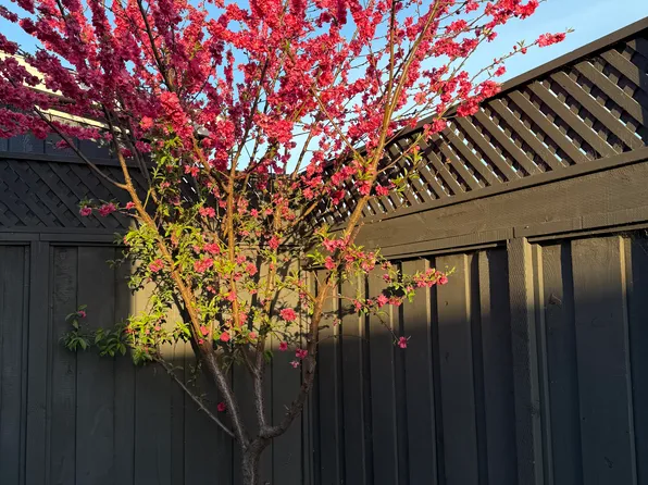 (undisclosed Address), Hayward, CA 94541