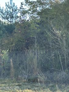 Abby Ln, Jacksboro, TN, 37757