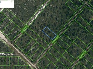 608 Thornberry St, Lake Placid, FL 33852