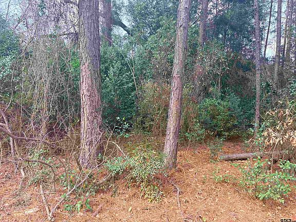 4th image of 406 Janis Dr
