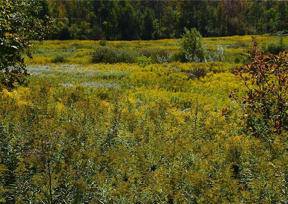 2nd image of 384 County Highway 150