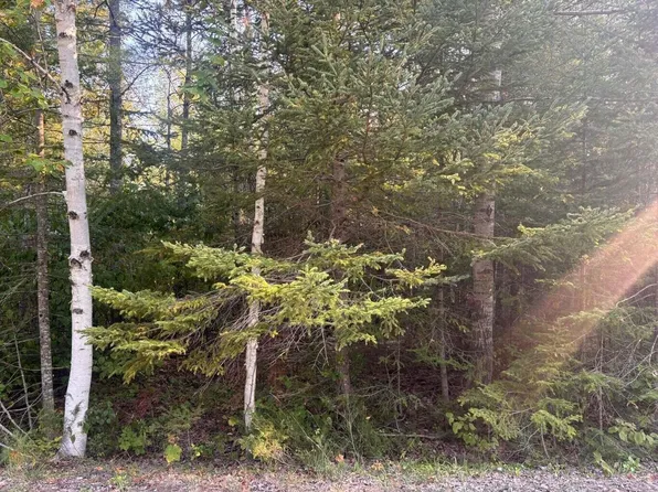 L-202 203 Sunaqua Dr, Presque Isle, MI 49777