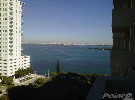 1st image of 2121 N Bayshore Dr APT 1103