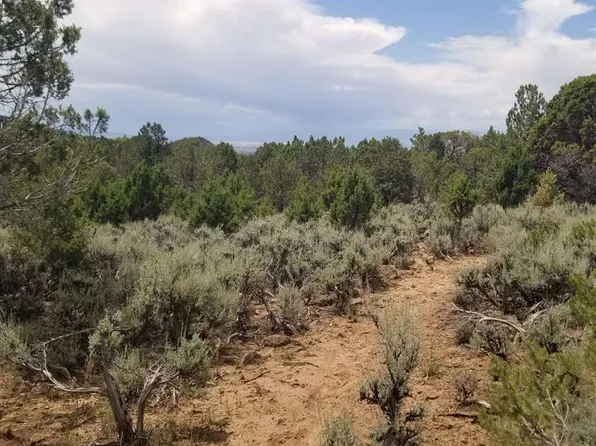 21852 Uintah Road, Cedaredge, CO 81413