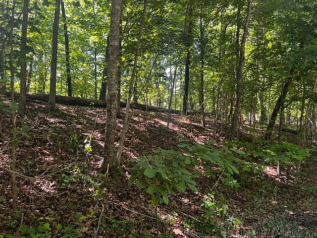 1st image of 12 Riding Ln #12